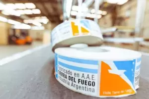 Cmo comprar electrodomsticos fueguinos online con beneficios fiscales y envo a domicilio