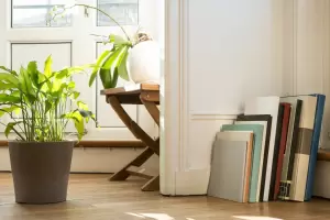 La planta que seguro tens en tu casa y est causando que pierdas dinero, segn el Feng Shui