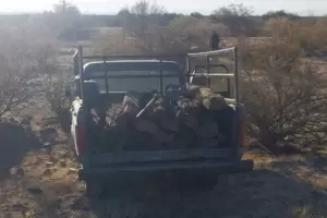 Los descubrieron cuando robaban durmientes de vas de ferrocarril
