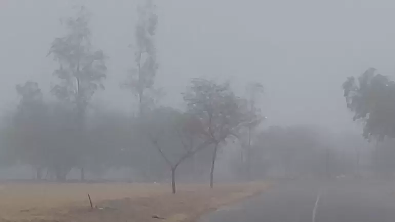 neblina valle central