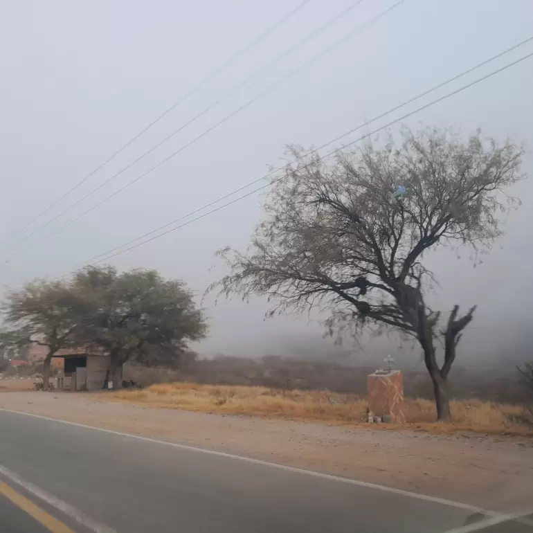 neblina valle central