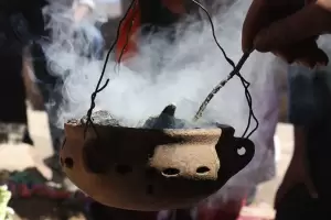 Da de la Pachamama: para qu sahumar y cmo se prepara el t de ruda