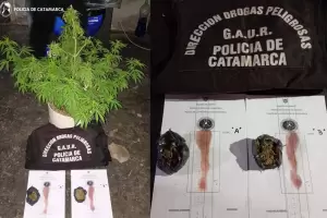 Narcomenudeo: incautan cocana, marihuana y ms de $2 millones en efectivo