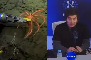 Rating de streaming: la transmisin del Conicet aplast a Milei con Fantino