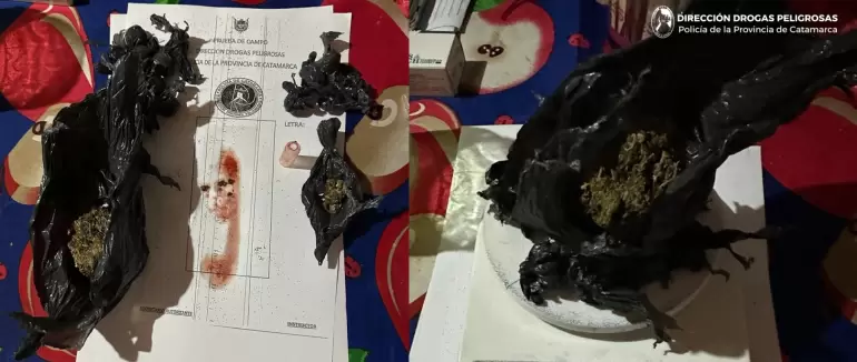 narcomenudeo capital norte