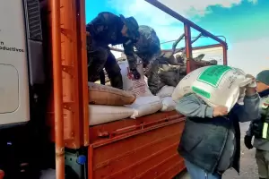 El Gobierno envi ayuda a productores ganaderos de Laguna Blanca