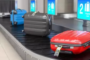 Detuvieron a una mujer que transportaba a una nena de dos aos dentro de una valija