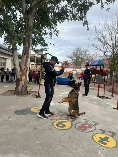 division canes jardines ni�os