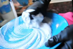 Personal domstico: convocan a reunin para actualizar los salarios del sector