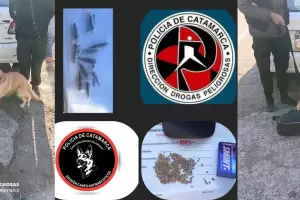 Incautaron casi 500 semillas de marihuana durante un control vehicular