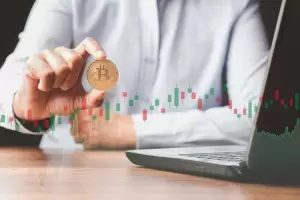 Cmo invertir en criptomonedas segn el mercado: estrategias clave para diferentes perfiles de usuario