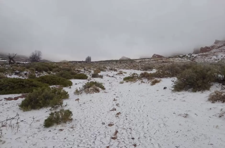 La nieve volvi a El Tolar