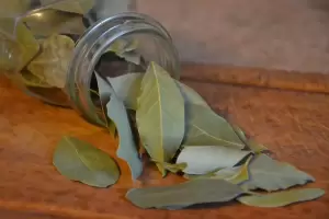 Dnde poner las hojas de laurel para atraer el dinero en agosto, segn el Feng Shui