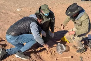 Descubren restos seos y piezas cermicas de ms de mil aos en Tinogasta