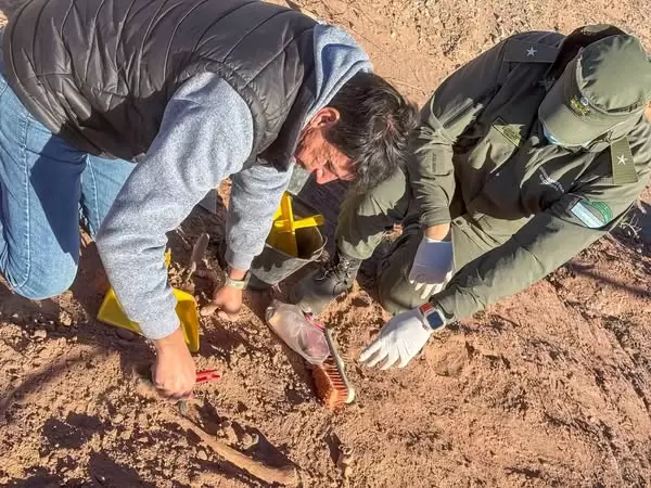 arqueologia tinogasta hallazgo