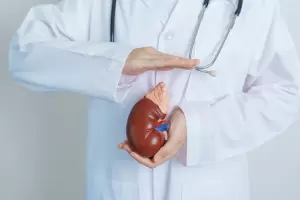 La importancia de cuidar la salud renal: lo que hay que tener en cuenta