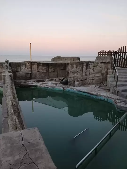 denuncia maltrato ex aquarium