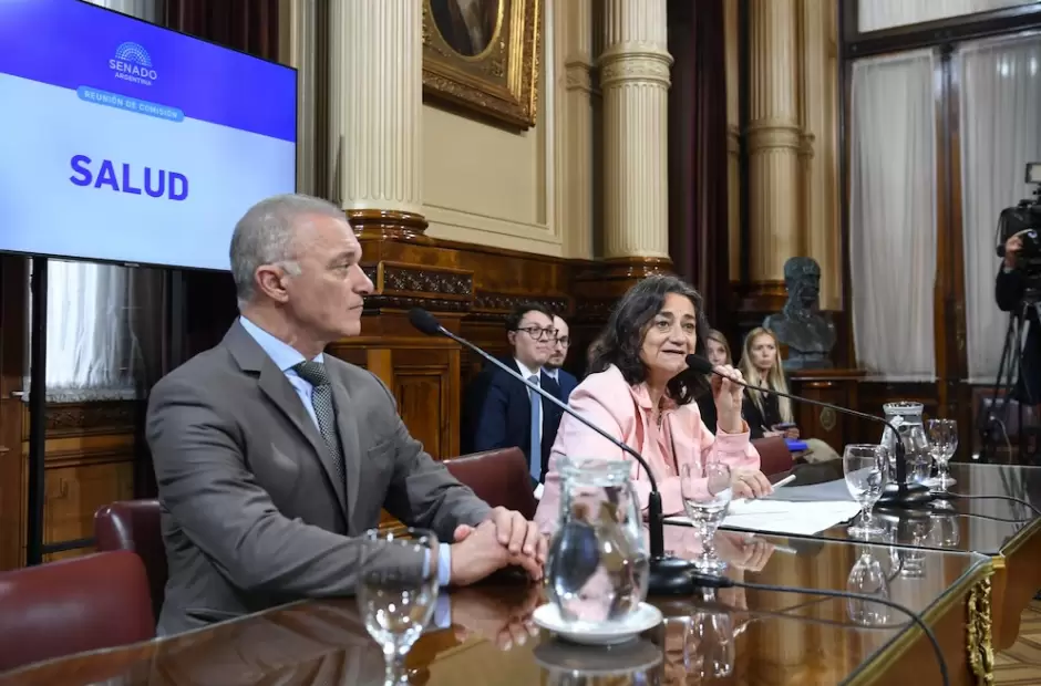 La legisladora por Catamarca y titular de la comisin de Salud, Luca Corpacci.