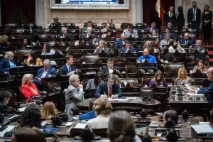 Sesin caliente: en Diputados, hoy se debate sostener todos los vetos de Milei