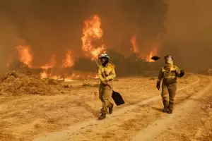 Espa�a: los incendios y la ola de calor dejan 1.100 muertos