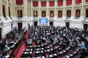 Diputados rechaz los vetos a la emergencia peditrica y al financiamiento universitario