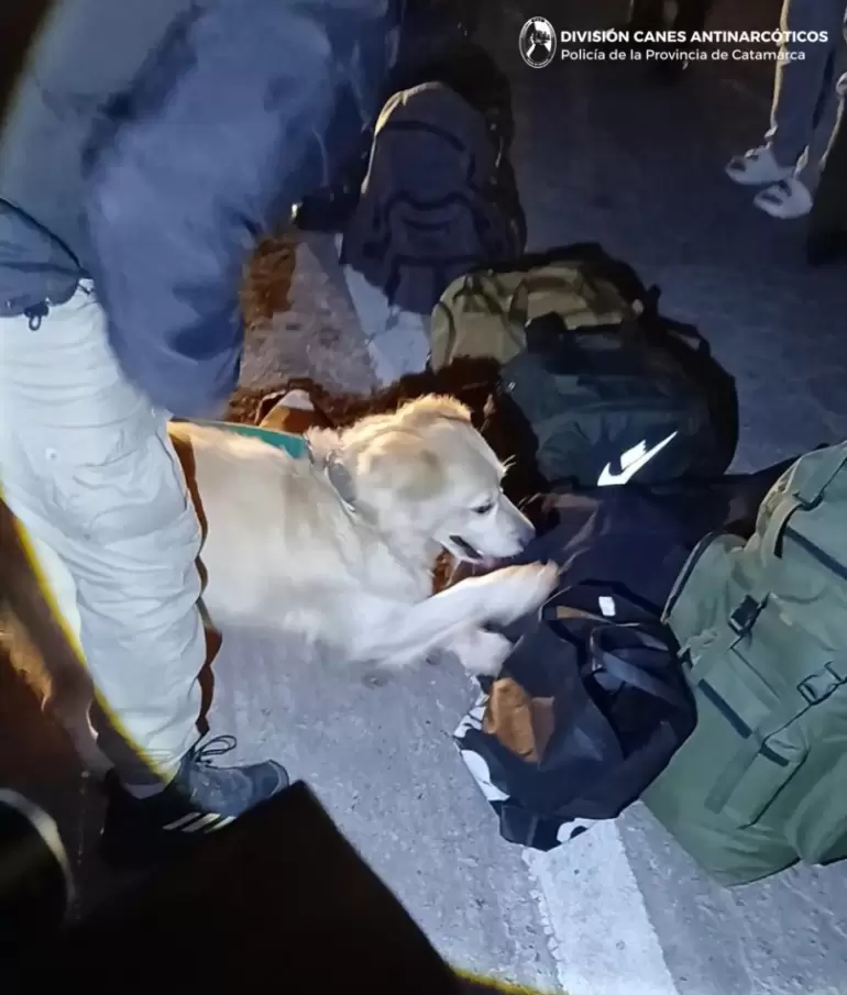 droga la viña detenida