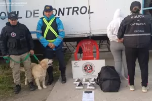 En Pacln detienen a una mujer y secuestran ms de cinco kilos de marihuana