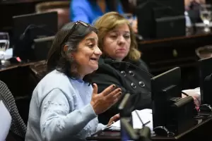 Corpacci impulsa la interpelacin contra el ministro de Salud y autoridades de la ANMAT