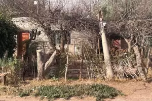 El zonda en Tinogasta derrib tendido elctrico y hay alerta por baja visibilidad