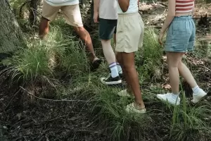 Los 15 minutos en la naturaleza que combaten la ansiedad: los datos de la ciencia