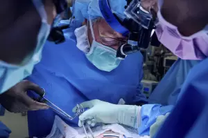 Histrico avance mdico: trasplantan por primera vez un pulmn de cerdo a un ser humano