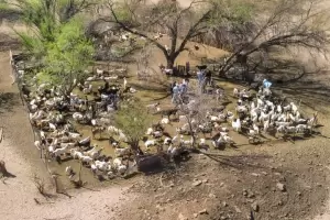 Catamarca ser sede del 48 Congreso Argentino de Produccin Animal