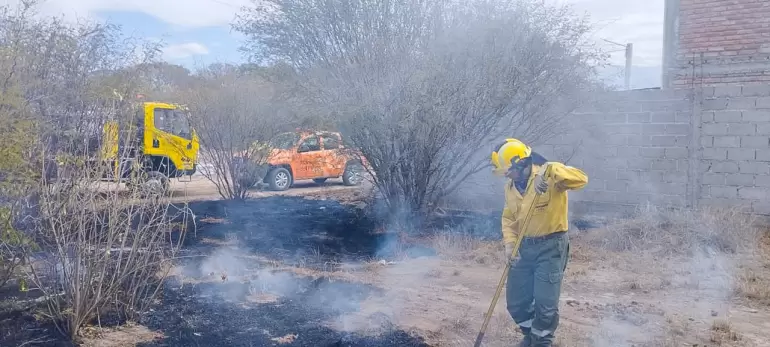 Brigadistas continan en combate
contra los incendios forestales