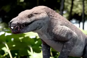 En la Patagonia descubren un cocodrilo carnvoro de 70 millones de aos