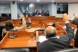 Media sancin para la comisin "Camino a los 15 aos de la Bandera Provincial"