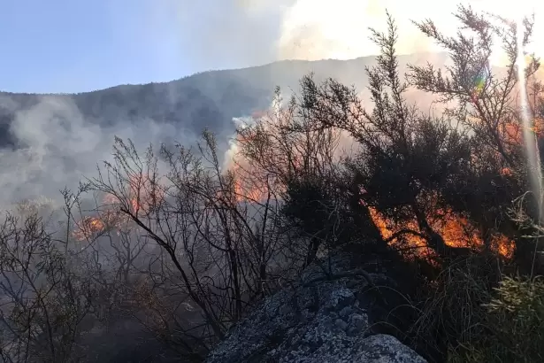 Declaran Alerta Roja por riesgo de incendios forestales en Catamarca
