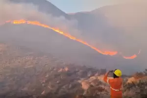 Incendio forestal de magnitud avanza sin control en Cndor Huasi
