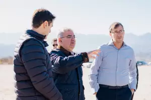 Oro verde: productor de pistacho planea un proyecto de 800 hectreas en Catamarca