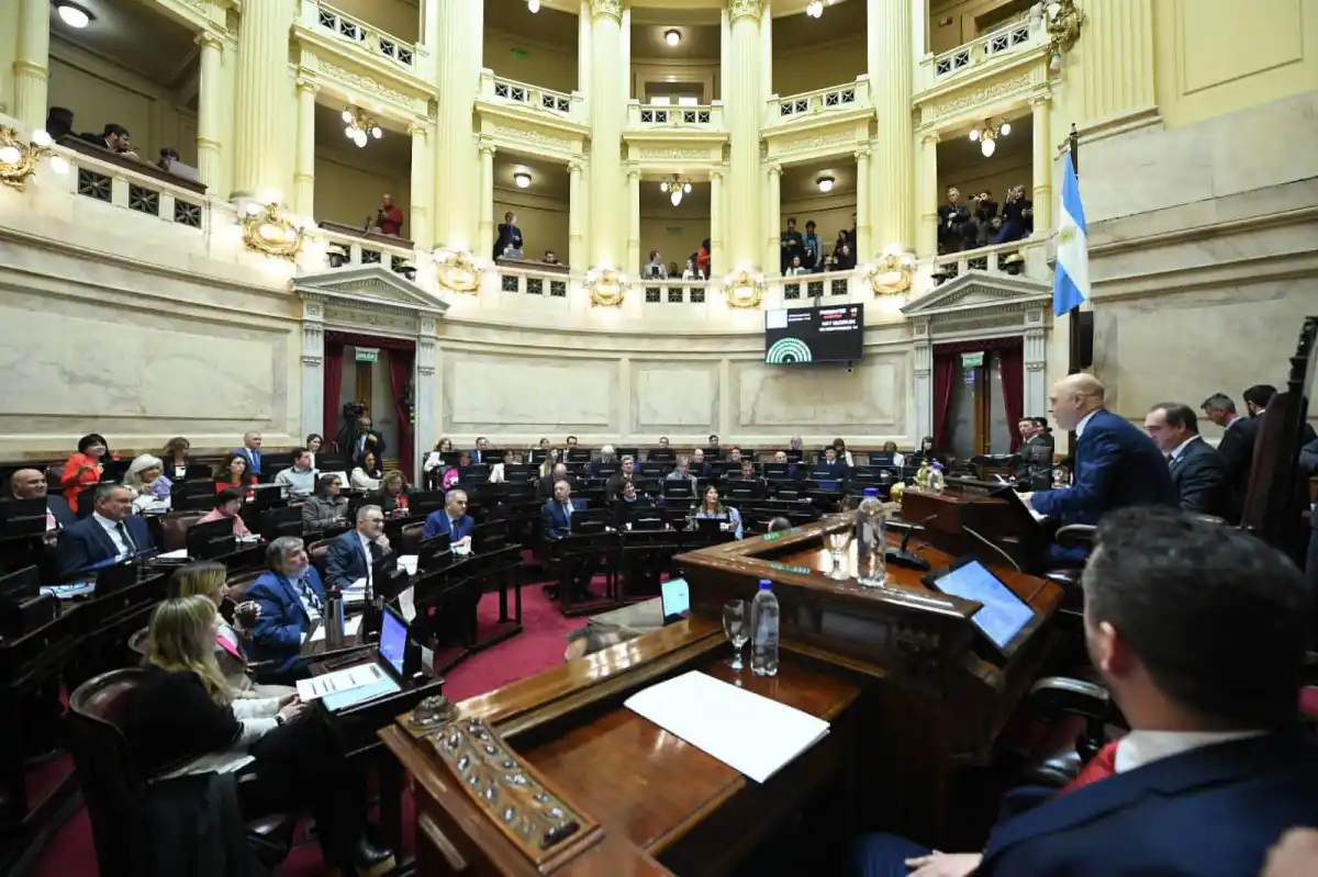 El Senado ya debate la Ley de Glaciares y el Acuerdo Mercosur-Unión ...
