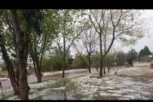 Tras el granizo en Santa Rosa, se evala el impacto econmico en los cultivos