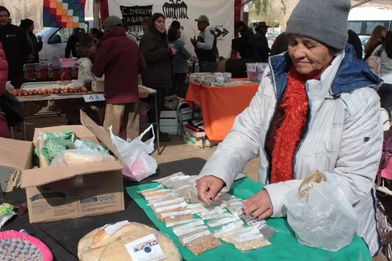 feria semillas tinogasta