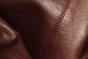 Cmo quitar el hongo y el moho en las prendas de cuero?