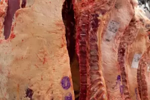 La Justicia suspende por 30 das el ingreso de carne con hueso a la Patagonia