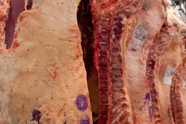 El nuevo mapa del consumo: la carne de cerdo se consolida como el refugio proteico ante la escalada de los cortes vacunos