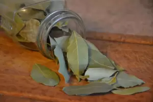 Dnde colocar un frasco con hojas de laurel para atraer el dinero, segn el Feng Shui