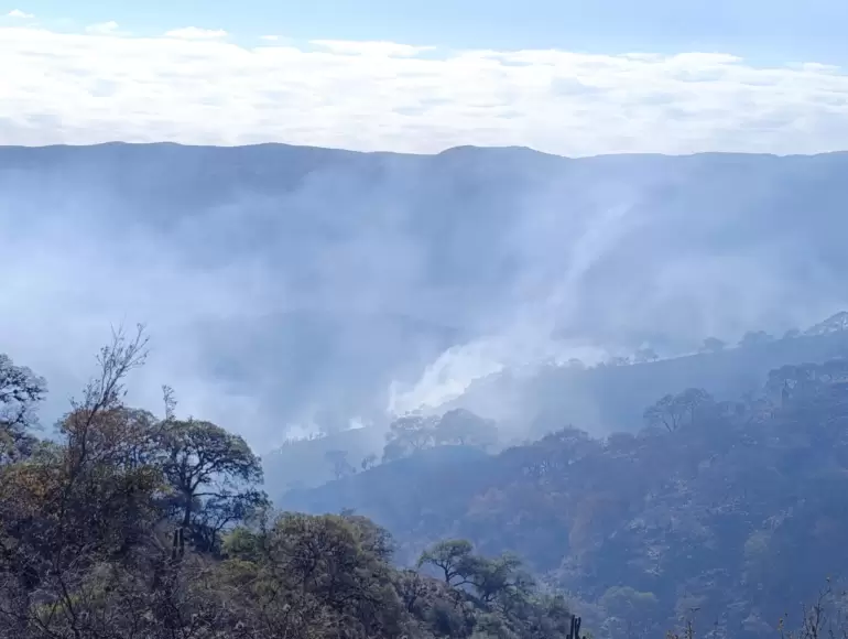incendios temporada alta