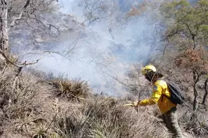 Brigadistas contuvieron diez incendios, todos registrados este jueves