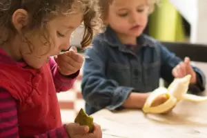 Alertan sobre la dieta montona de los nios y los riesgos de malnutricin