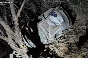 Un automvil volc y termin chocando contra un rbol: muri un hombre