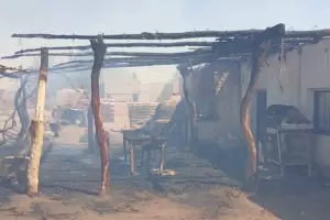 El viento Zonda desat un voraz incendio en Fiambal: afect un viedo y una vivienda